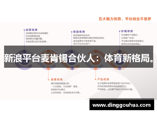新浪平台麦肯锡合伙人：体育新格局。